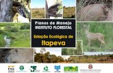 Planos de Manejo INSTITUTO FLORESTAL Estação Ecológica de ... · Adequações do Instituto Florestal • Em 07/11/2018, o Instituto Florestal apresentou à CTBio a nova proposta