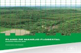 PLANO DE MANEJO FLORESTAL - CENIBRA · 2019-04-09 · RESUMO PÚBLICO DO PLANO DE MANEJO FLORESTAL CENIBRA USO DO SOLO A CENIBRA maneja uma área total de 253.665,41 hectares (251.888,17