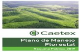 Duratex Área Florestal · O manejo florestal da Caetex vem se desenvolvendo sem o registro de antagonismos e convulsões que possam caracterizar conflitos socioambientais. A empresa