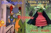 Apresentação do PowerPoint€¦ · Squamata Cobra / com Escamas Tartarugas Lagarto Exemplo Característica Representantes: Quelônios 2 Carapaças Crocodilianos Crocodilo /Jacaré