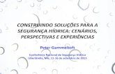 CONSTRUINDO SOLUÇÕES PARA A SEGURANÇA HÍDRICA: …...CONSTRUINDO SOLUÇÕES PARA A SEGURANÇA HÍDRICA: CENÁRIOS, PERSPECTIVAS E EXPERIÊNCIAS Peter Gammeltoft Conferência Nacional