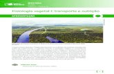 Fisiologia vegetal I: transporte e nutrição...Fisiologia vegetal I: transporte e nutrição Vista aérea da floresta Amazônica na Reserva de Desenvolvimento Sustentável Mamirauá