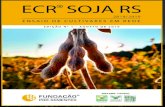 SUMÁRIO - Fundação Pró-Sementes · Tabela 4 - Rendimento de grãos das cultivares de soja de ciclo precoce indicadas para o Estado do Rio Grande do Sul pelo Zoneamento Agrícola