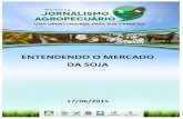 ENTENDENDO O MERCADO DA SOJA - Sistema Famatosistemafamato.org.br/portal/arquivos/03072015033509.pdf · Introdução ..... 1.1 O agronegócio ... Em relação à comercialização,