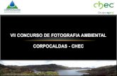 VII CONCURSO DE FOTOGRAFIA AMBIENTAL CORPOCALDAS - … · AUTOR: DIANA MARCELA MUÑOZ RIVERA MENCION ESPECIAL SIN TITULO . AUTOR: BERNARDO DEL CRISTO HERNÁNDEZ SIERRA MENCION ESPECIAL