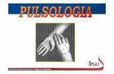 Pulsologia [Modo de Compatibilidade] 2018.pdf · Microsoft PowerPoint - Pulsologia [Modo de Compatibilidade] Author: User Created Date: 4/19/2018 9:57:47 AM ...