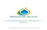 GRUPO DE ESTUDOS EM SISTEMAS WETLANDS CONSTRUÍDOS ... › files › 2014 › 08 › Boletim-Wetlands-Br… · Grupo de Estudos em Sistemas Wetlands Construídos Aplicados ao Tratamento