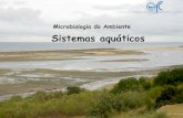 Microbiologia do Ambiente Sistemas aquáticosmaloucao/Aula 9.pdfNa Terra há cerca de 1.360.000.000 km³ de água que se distribuem da seguinte forma: 1.320.000.000 km³ (97%) são