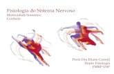 Fisiologia do Sistema Nervoso · 2019-04-03 · Organização do Cerebelo segundo domínio das aferências : b. Espino-Cerebelo Via espino-cerebelar informa sobre fusos musculares