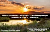 Marc de col·laboració CApSA 2016-17 Acció …...Marc de col·laboració CApSA 2016-17 – Acció Ecologista Agró Germinant la teua Creativitat La Marjal dels Moros, Puçol - Sagunt