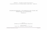 Implementando o Problema de Corte de Materiais na ...vigo.ime.unicamp.br › Projeto › 2012-2 › ms877 › ms877_matheus.pdf · Matheus Pereira Garuti Mauricio Orientador: Prof.