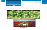 Efeito da adubação com fertilizantes organomineral …ainfo.cnptia.embrapa.br/digital/bitstream/item/188027/1/...da eficiência da adubação fosfatada nos solos do Cerrado cultivados
