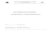 RELATÓRIO DE ATIVIDADES DE ADJUNTO C 1 PARA ADJUNTO C2 · Relatório de Progressão — Professo Afonso A. M. de Araujo — Adjunto 2 (2006/2 a 2008/1) ... Projeto Final de Engenharia