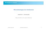 Microbiologia do Ambientemaloucao/Aula 2.pdf1.Diferentes tipos de microrganismos: 2 Domínios, 2 reinos, Akamara 2.Difícil de avaliar a interacção entre eles, que é contínua mas