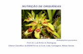 NUTRIÇÃO DE ORQUÍDEASbiofert.com.br/produtos/nutricao-de-orquideas.pdf · enzimas. Participa do metabolismo hídrico da planta e é necessário ao crescimento e àdivisão celular.