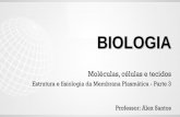 BIOLOGIA - Amazon Web Services...Estrutura e fisiologia da Membrana Plasmática - Parte 3 2.2.4 – Relacionadas a movimentação celular: A) Cílios: • são projeções móveis