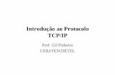 Introdução ao Protocolo TCP/IP - lee.eng.uerj.brgil/redesII/Tcp_ip.pdf · O TCP/IP pode ser usado com diversos tipos de redes • Camadas Física / Enlace – IEEE 802.3 (Ethernet
