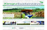 Boletim informativo do Projeto Xingu Ambiente Sustentável ... · dezembro de 2012. Além dele, outros 35 estudantes receberam apoio ﬁ nanceiro para experimentação produtiva com