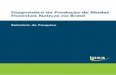 Diagnóstico da Produção de Mudas Florestais Nativas no Brasilrepositorio.ipea.gov.br/bitstream/11058/7515/1/RP... · 2017-03-11 · novas regras que afetaram drasticamente a dimensão