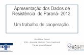 Apresentação dos Dados de Resistência do Paraná-2013 Um ...Dra.FláviaTrench SCIH –Hospital Ministro Costa Cavalcanti Foz do Iguaçu-Paraná . Apresentação dos Dados de Resistência