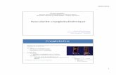 Vascularite cryoglobulinémiquecuen.fr/powerpoint/seminaire_juin2016/14-chauveau... · 2016-07-30 · 30/07/2016 3 Causes des cryoglobulinémies Fréquent HCV (≈ 70 %) Sjögren