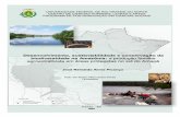 UNIVERSIDADE FEDERAL DO RIO GRANDE DO NORTE JOSÉ … · A Tese Desenvolvimento, sustentabilidade e conservação da biodiversidade na Amazônia: a produção familiar agroextrativista