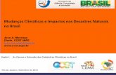 Mudanças Climáticas e Impactos nos Desastres Naturais no ... · Com base em projeções climáticas e seus potenciais impactos, os países Sul Americanos identificaram implícita