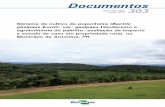 Livro Doc 303 - 1426 completo - Embrapaainfo.cnptia.embrapa.br/digital/bitstream/item/... · da propriedade e o perfil do responsável como indicadores sociais de ... atividade agropecuária