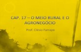 Prof. Clésio Farrapo · Prof. Clésio Farrapo Podemos dividir a área agrícola em dois tipos de Iavoura: cultura permanente e cultura temporária. No primeiro caso, as culturas