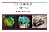 CLASSE REPTILIA ( RÉPTEIS ) · CLASSE REPTILIA ( RÉPTEIS ) Author: Carla Created Date: 3/29/2020 9:21:58 PM ...