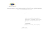 Federal University of Rio de Janeiro - TCC Aviação …monografias.poli.ufrj.br/monografias/monopoli10018631.pdf1. Programa de Aviação Regional. 2. Administração de Aeroportos
