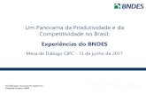 Um Panorama da Produtividade e da Competitividade no Brasil · Um Panorama da Produtividade e da Competitividade no Brasil: Experiências do BNDES ... oportunidades e conduzindo o