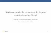 São Paulo: produção e estruturação de uma metrópole no Sul ......% Pop. mundial Crescimento Populacional Expectativa de vida PIB per capita US$ População Urbana População