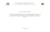 UNIVERSIDADE FEDERAL DA BAHIA - Ufba Diniz.pdf · Doutor Gildarte Barbosa pelas orientações compartilhadas. A todos meus amigos do Mestrado da Turma 2010, em especial aos meus grandes