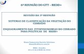 REVISÃO DA 5ª REUNIÃO SISTEMAS DE CLASSIFICAÇÃO DA ...redd.mma.gov.br/.../gttredd_reuniao6_dianadamasceno... · Classificação da Vegetação Brasileira Base: Estrutura Hierárquica
