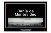 Bahía de Montevideo - Taller T+ · rosario santa fe montevideo río de janeiro porto alegre santos hidrovias paises que no tienen puerto y necesitan salida uruguay es un paÍs equidistante