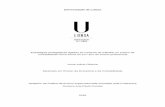 Universidade de Lisboarepositorio.ul.pt/bitstream/10451/24626/1/ulfpie051120_tm_tese.pdf · Universidade de Lisboa . Estratégias pedagógicas ligadas ao contexto de trabalho no ensino