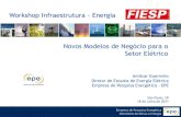 Workshop Infraestrutura - Energia Novos Modelos de Negócio ...€¦ · Novos Modelos de Negócio para o Setor Elétrico Amilcar Guerreiro Diretor de Estudos de Energia Elétrica