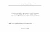 D CRITÉRIOS DE HOMOLOGAÇÃO PARA PRODUTOS DE …cin.ufpe.br/~tg/2008-2/vess.pdf · 2. Estudo de design centrado no usuário 3. Criação do Processo de Definição de Métricas