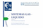SISTEMAS GAS - LIQUIDO€¦ · Relacion entre la energia libre de Gibbs de exceso y composicion para el sistema etanol(1)-agua(2) y = 0,479918830x + 0,597044510 R2 = 0,999920972 0,0000