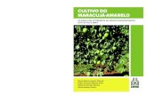 CULTIVO DO MARACUJÁ AMARELOestaticog1.globo.com/2019/06/28/IP161Maracuja.pdf · O fruto do maracujá-amarelo possui alto valor nutritivo, como vita-mina C, vitaminas do complexo