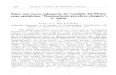 REVISTA CHILENA HISTORIA .NATUKALrchn.biologiachile.cl/pdfs/1930/1/Rusconi_1930a.pdf · 20~ REVISTA CHILENA DE HISTORIA .NATUKAL Sobre una nueva subespecie de Camélido del Pleisto-