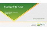 Inspeção de Aves€¦ · FFF4 Consulta e explicação sobre o status dos estabelecimentos no que se refere à exportação no site do MAPA. Fernando Fagundes Fernandes; 06/02/2020.
