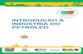 INTRODUÇÃO À INDÚSTRIA DO PETRÓLEOtermo.furg.br/JAA/IIP/Introducao_a_Industria_do_Petroleo.pdf9 APRESENTAÇÃO Os processos de prospecção, produção e refino de petróleo,