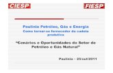 Paulínia Petróleo, Gás e Energia · Paulínia Petróleo, Gás e Energia Como tornar-se fornecedor da cadeia ... implantação de projetos de óleo e gás no Brasil e no exterior.”