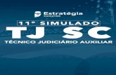 1 11º Simulado TJ-SC Técnico Judiciário Auxiliar - 23/05/2020€¢-SEM... · Conforme a norma-padrão da língua portuguesa, a pontuação está corretamente empregada em: a) O