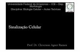 Universidade Federal do Amazonas –ICB –Dep. Morfologia … · 2018-06-15 · Sinalização Celular Prof: Dr. CleversonAgnerRamos Universidade Federal do Amazonas –ICB –Dep.