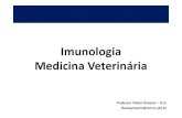 Imunologia Medicina Veterinária - Flávio Gimenisflaviogimenis.com.br/wp-content/uploads/2018/12/1-Pro...2018/12/01  · Imunidade passiva artificialmente adquirida Imunidade frequentemente