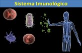 Sistema Imunológicoblog.cpbedu.me/professoraelyka17/wp-content/... · IMUNIDADE INATA OU NATURAL Barreiras físicas e químicas É a primeira linha de defesa do organismo, com a