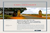 NUMBER 3 CMI INSIGHT · literatura e em trabalho de campo realizado em Moçambique (Maputo e Cabo Delgado) durante o último trimestre de 2019, com entrevistas a 35 informantes principais.3
